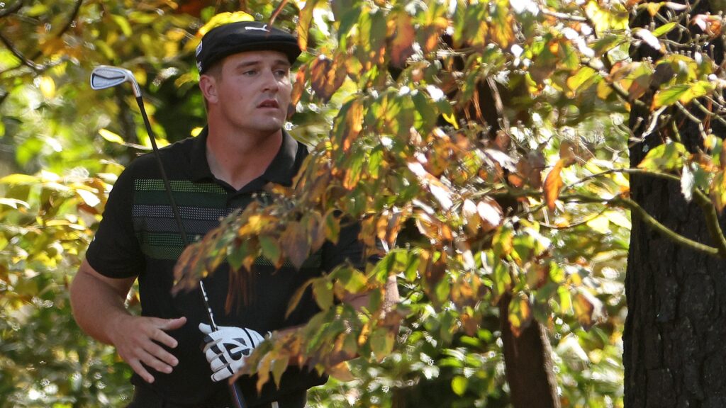 Bryson Dechambeau buske