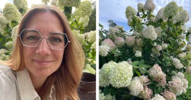 Välkommen att följa vår nya trädgårds-expert Johanna från Blomsterlandet som bloggar om trädgård och växter.