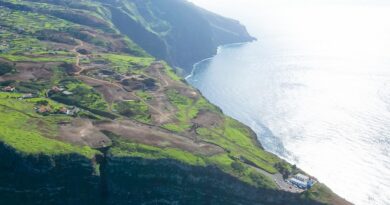 madeira