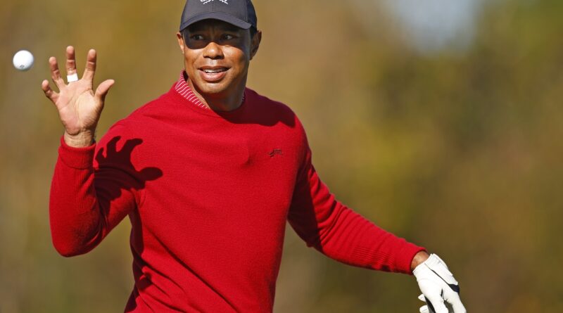 tiger woods