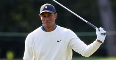 tiger woods
