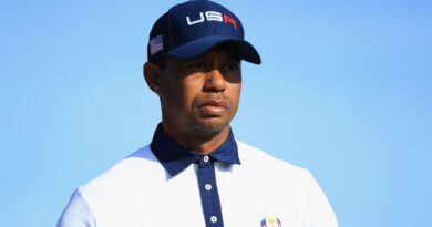 tiger woods