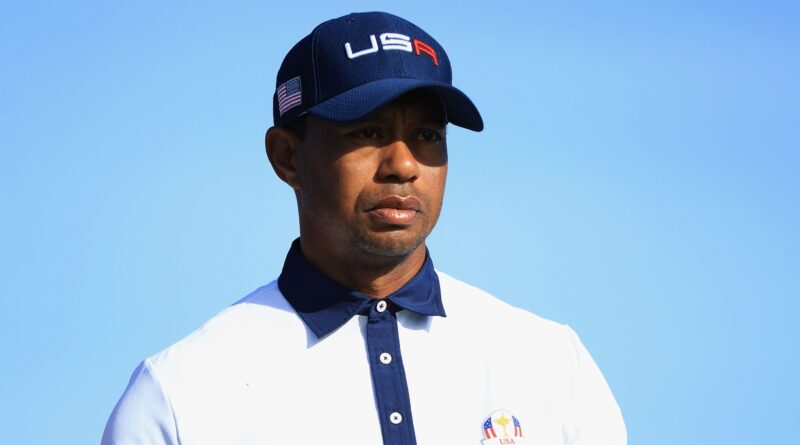 tiger woods