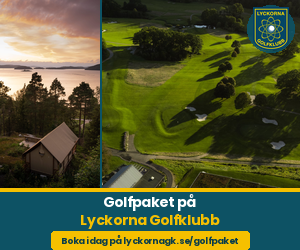 lyckorna